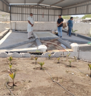 જસદણમા રજવાડી પશુ આહાર ના માલિક હિરેનભાઈ સાકરીયા એ પશુ પક્ષીઓ માટે રહેઠાણ ભોજન પાણીની સૅવા સાથે  વૃક્ષા રૉપણ કર્યું