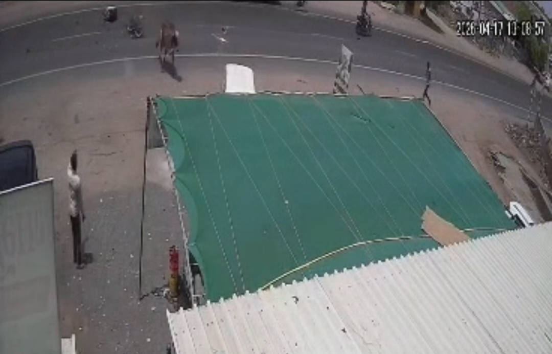 જસદણ-વીંછિયા રોડ પર મોટર સાયકલ સવારૅ ધણખુંટનૅ ટક્કર મારતા  ફંગોળાયો સમગ્ર ઘટના સીસીટીવીમાં કેદ