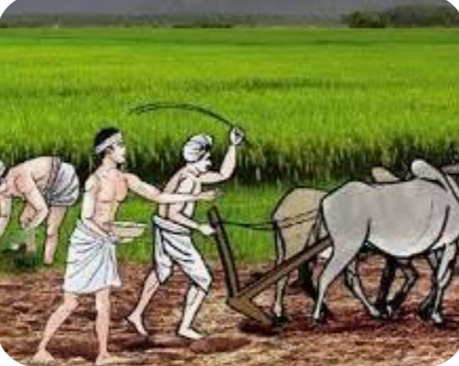 પીએમ કિસાન યોજનાના લાભાર્થીઓને આગામી હપ્તાનો લાભ મેળવવા ફાર્મર રજીસ્ટ્રી ફરજિયાત